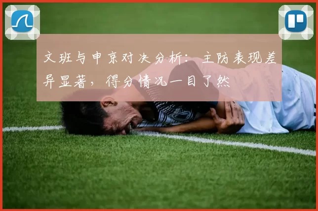 文班与申京对决分析：主防表现差异显著，得分情况一目了然