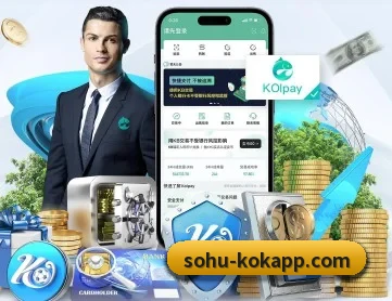 KOK体育 APP 深度功能